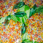 Ken and Valerie Shelton